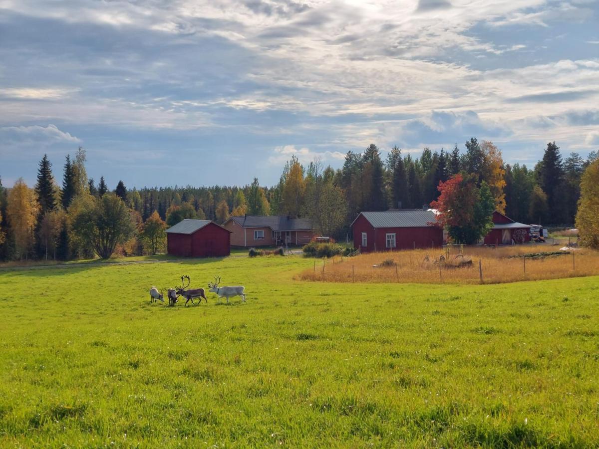 Apartamento Reindeernook Kuusamo Exterior foto