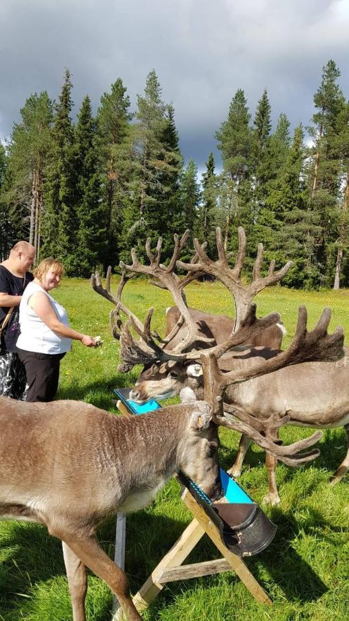 Apartamento Reindeernook Kuusamo Exterior foto